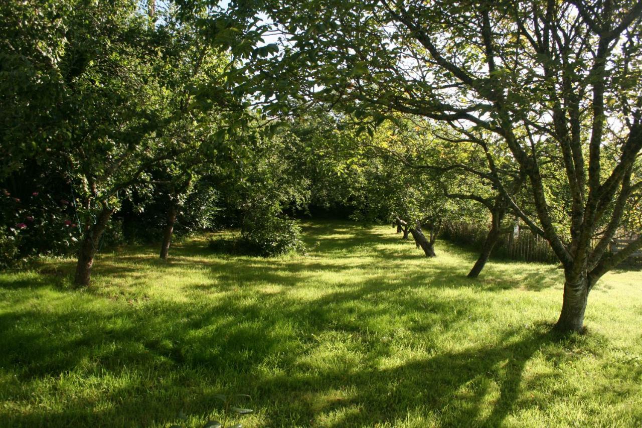Les Gites D'Hellen Logonna-Daoulas Bagian luar foto